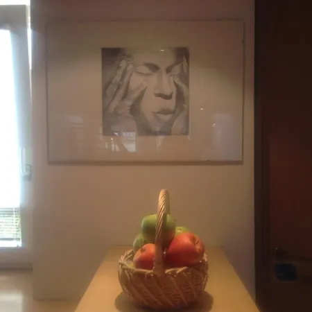 中心的熙米尔德之家和多拉希拉之家公寓 *