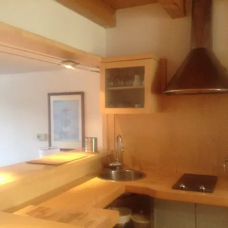 中心的熙米尔德之家和多拉希拉之家公寓 博尔扎诺